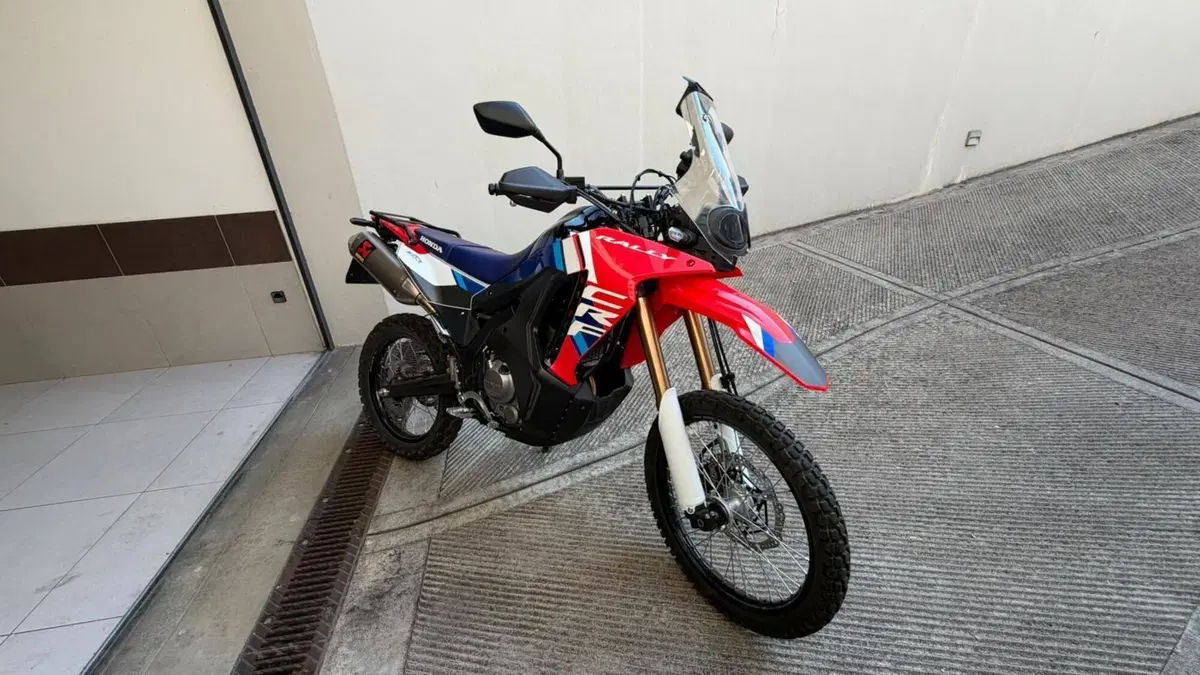 Honda CRF 300 Rally (2025 - 26)  (3)