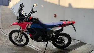 Honda CRF 300 Rally (2025 - 26) 