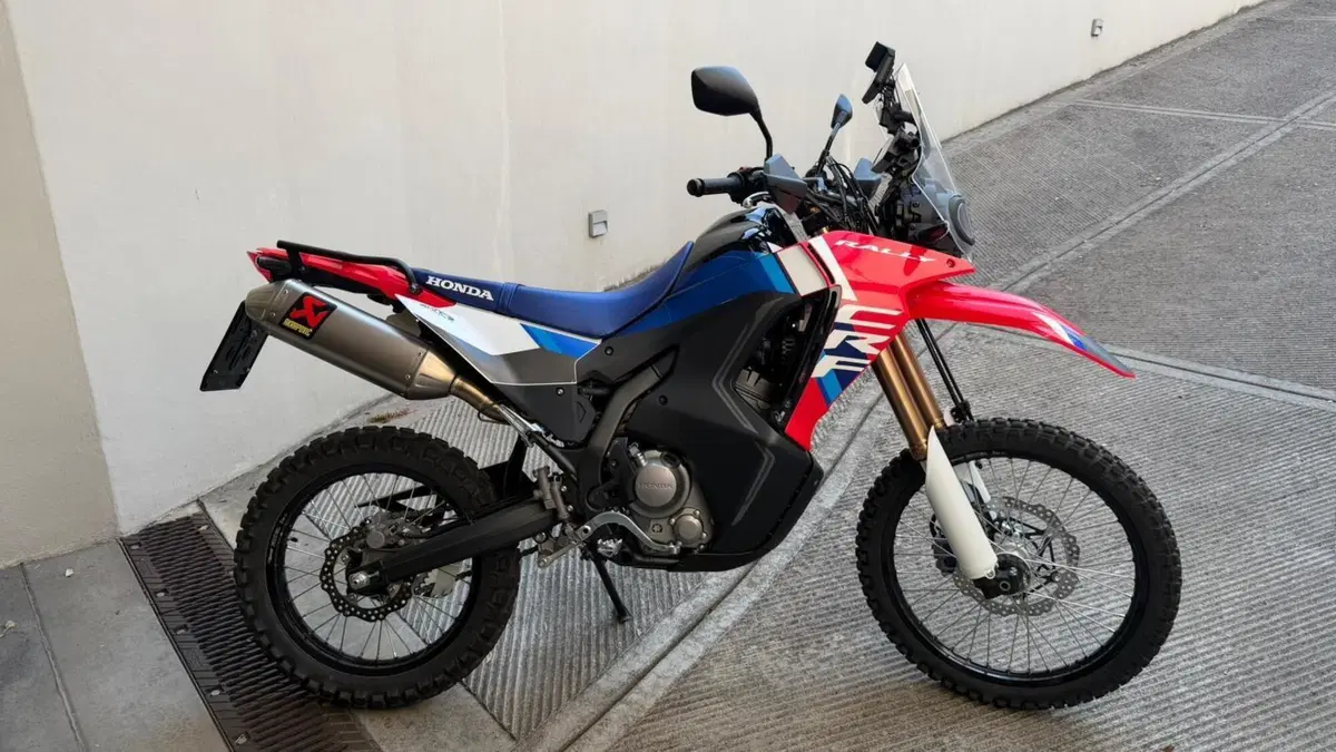 Honda CRF 300 Rally (2025 - 26)  (2)