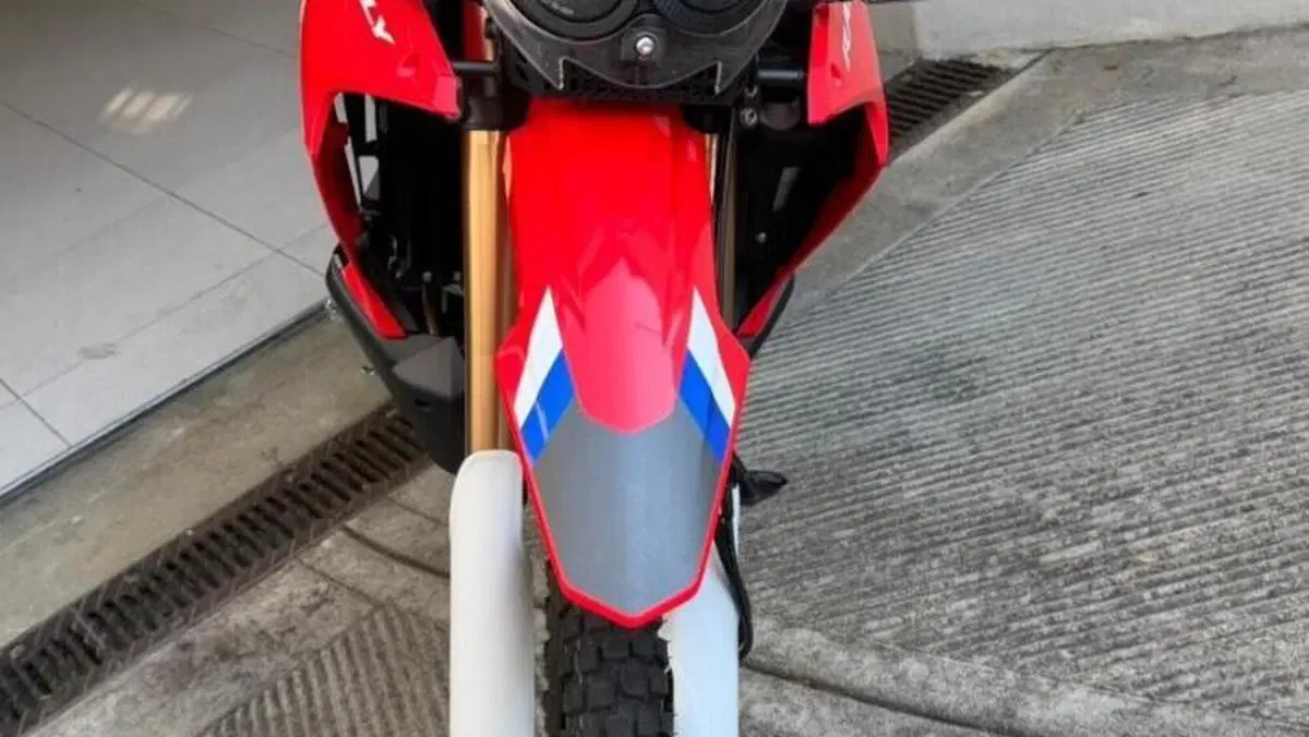 Honda CRF 300 Rally (2025 - 26)  (16)