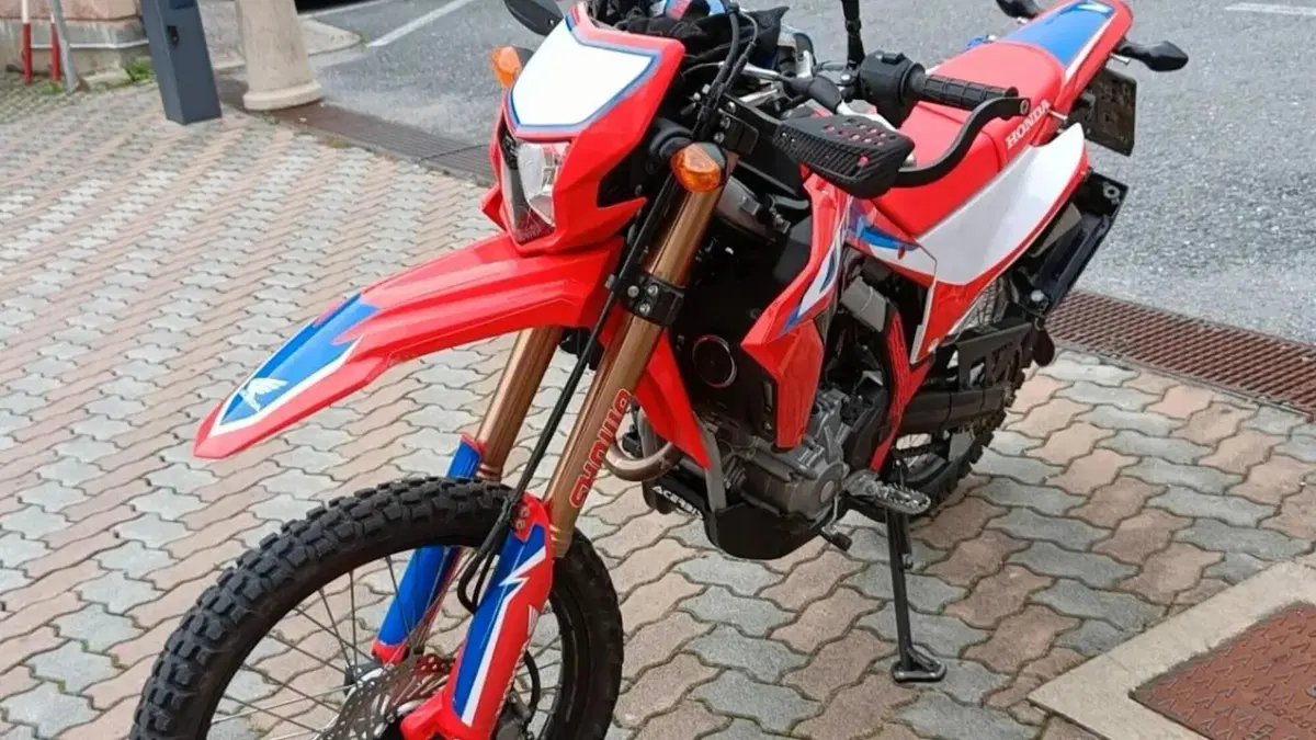 Honda CRF 300L (2021 - 24)  (2)