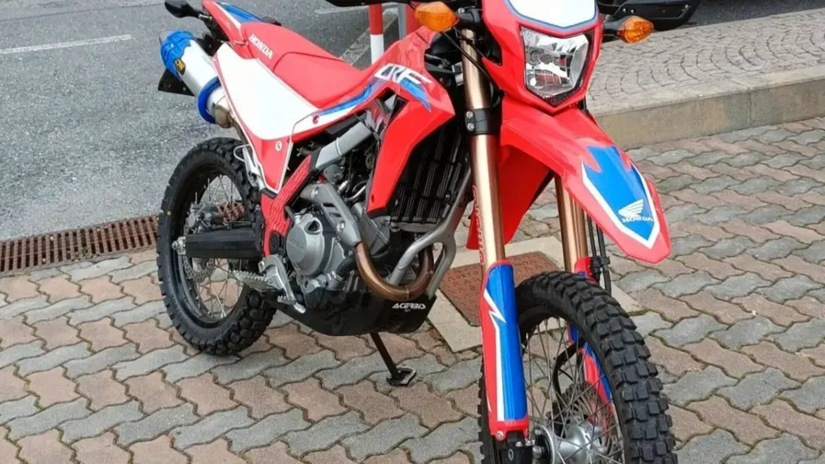 Honda CRF 300L (2021 - 24)  (3)