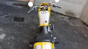 Harley-Davidson   (8)