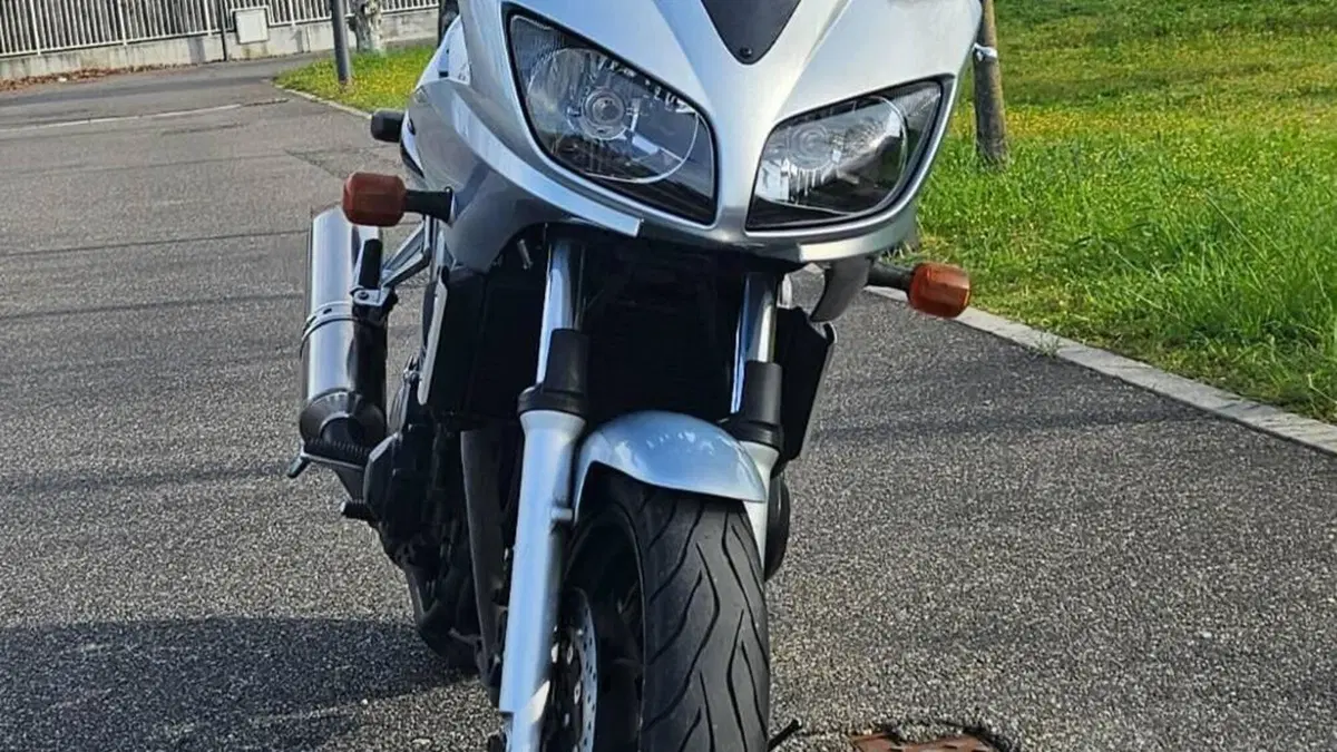 Yamaha FZS 600 Fazer (2002 - 03)  (2)