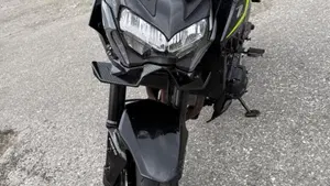 Kawasaki Z 900 (2021 - 24)  (3)