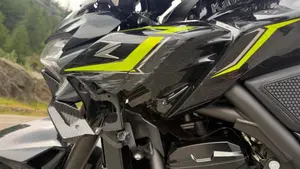 Kawasaki Z 900 (2021 - 24)  (6)