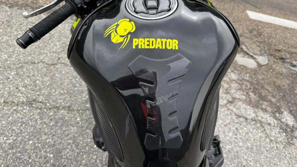 Kawasaki Z 900 (2021 - 24)  (12)
