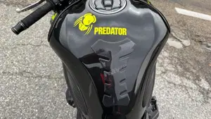 Kawasaki Z 900 (2021 - 24)  (12)