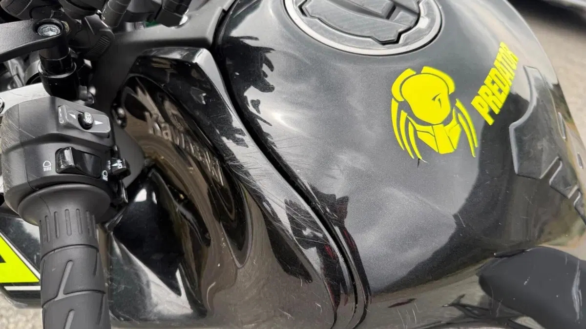 Kawasaki Z 900 (2021 - 24)  (13)