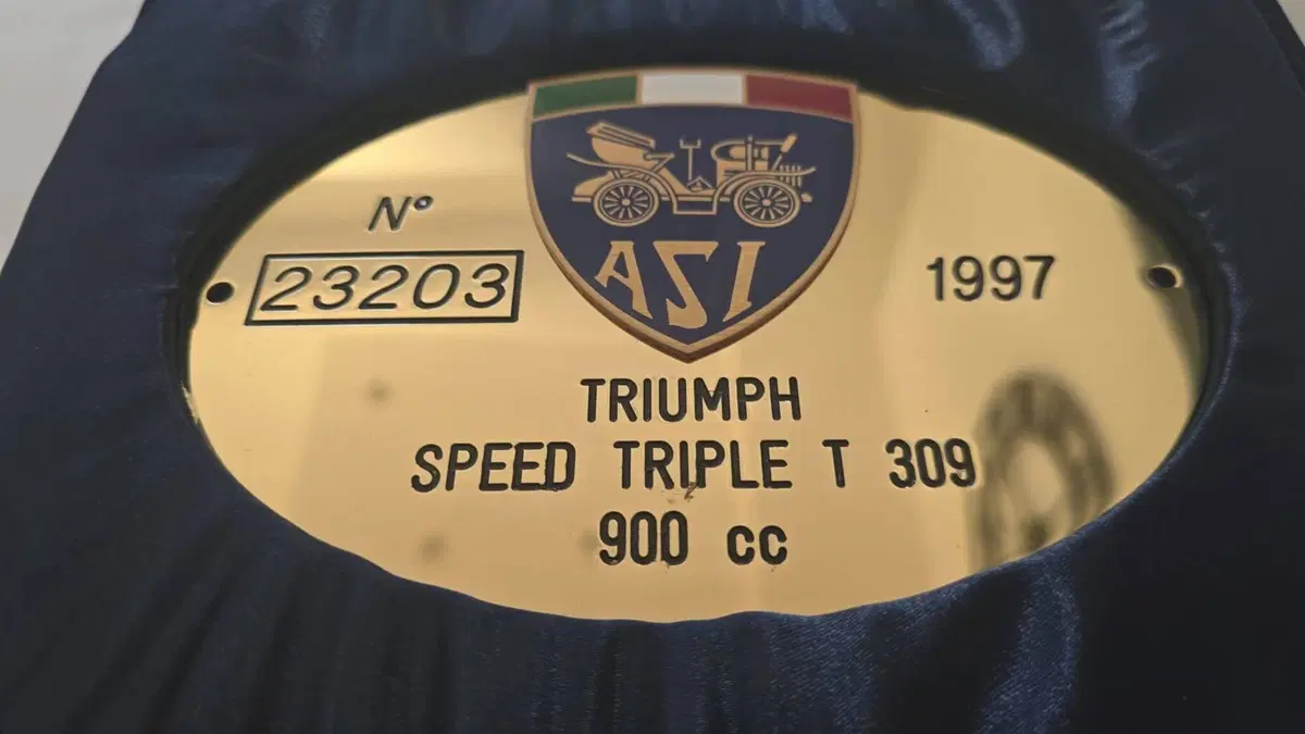 Triumph   (6)