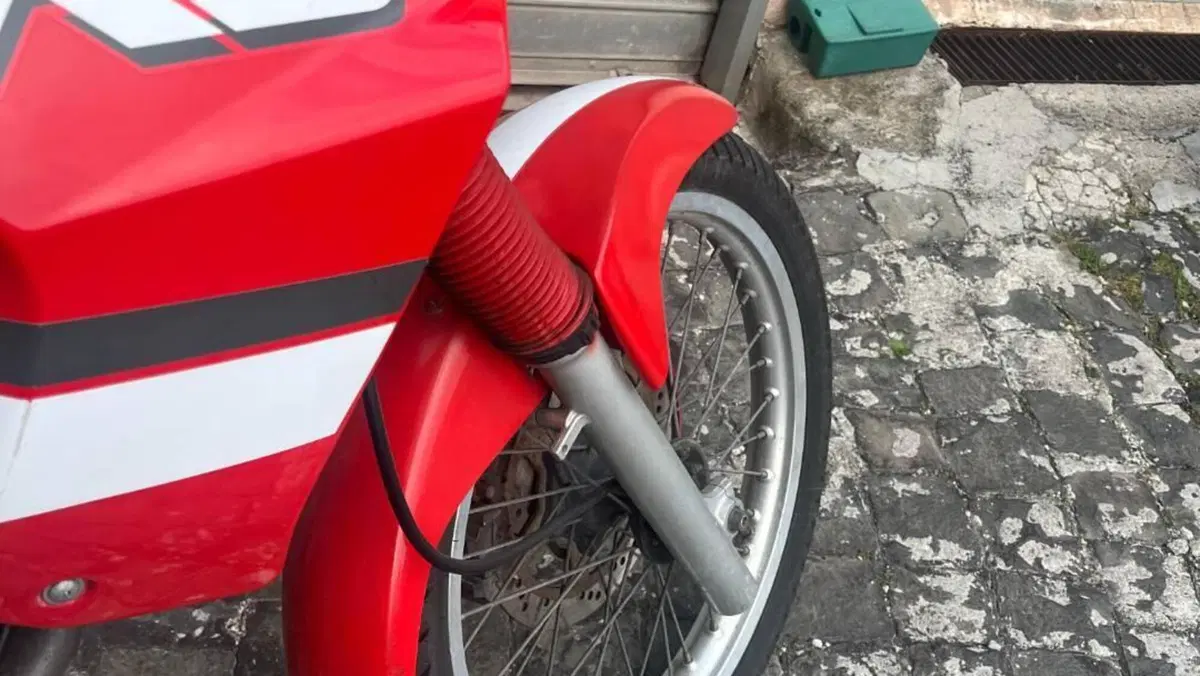Suzuki DR 650 R (1990 - 91)  (5)