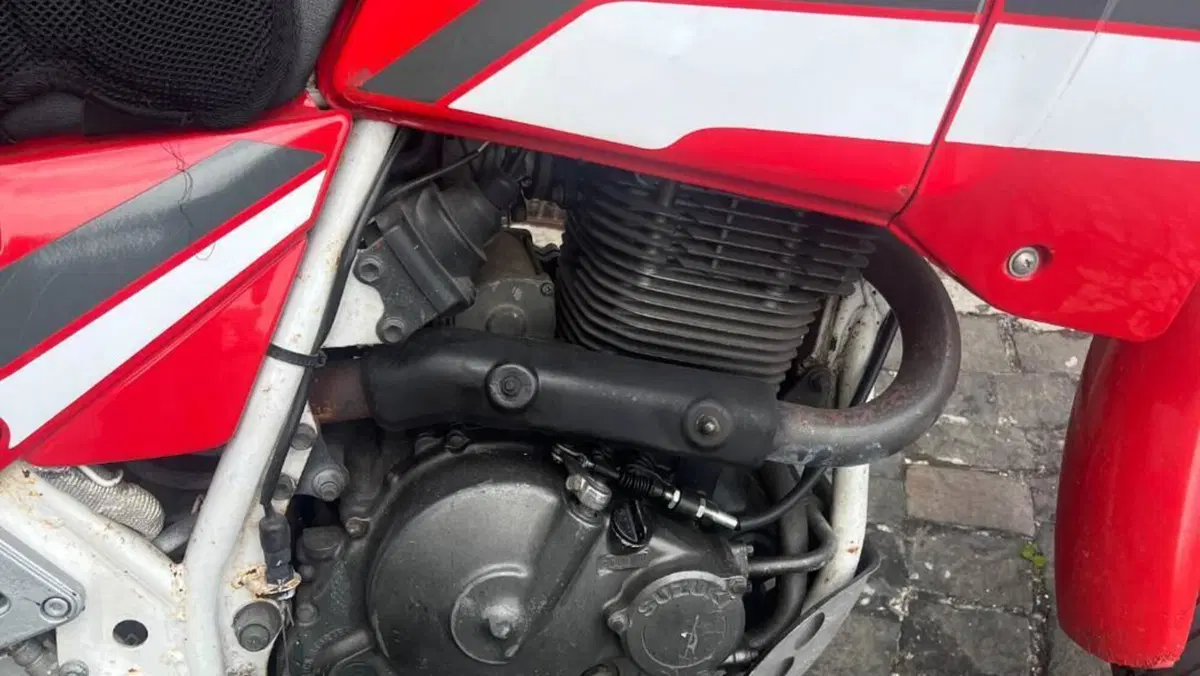 Suzuki DR 650 R (1990 - 91)  (7)