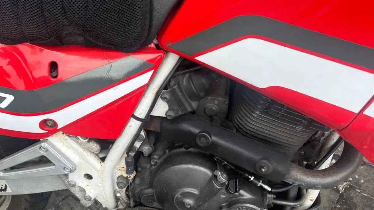 Suzuki DR 650 R (1990 - 91)  (8)