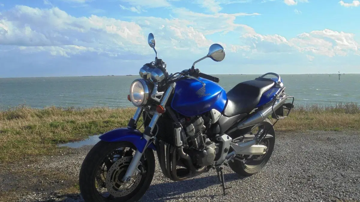 Honda Hornet 900 