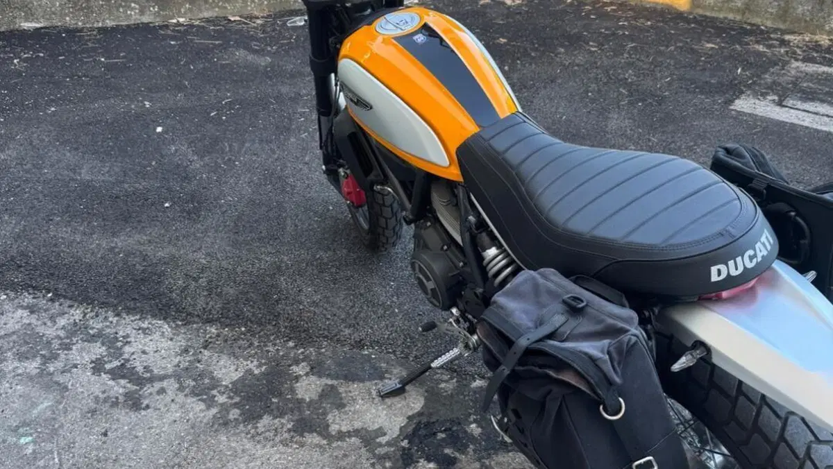 Ducati Scrambler 800 Classic (2015 - 16)  (4)