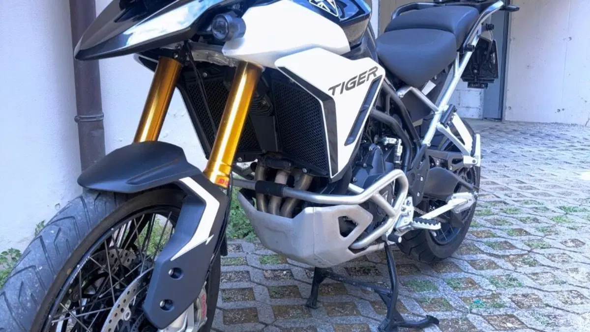 Triumph Tiger 900 Rally Pro (2024 - 26)  (2)