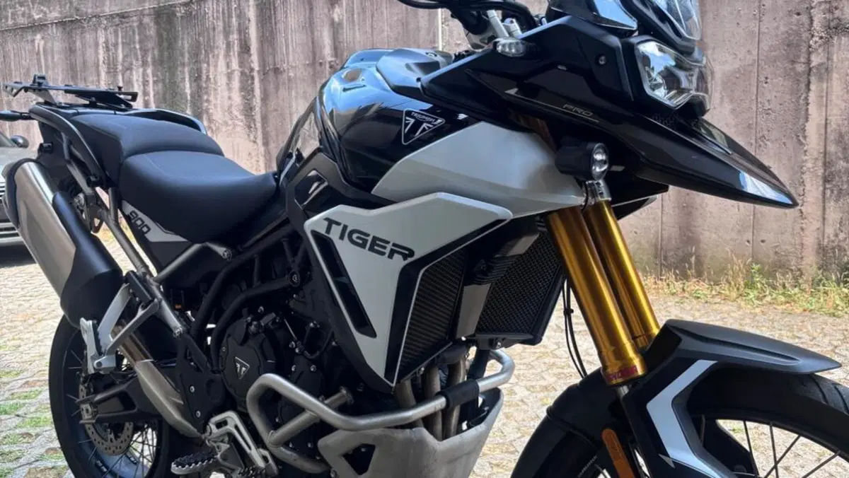 Triumph Tiger 900 Rally Pro (2024 - 26)  (3)