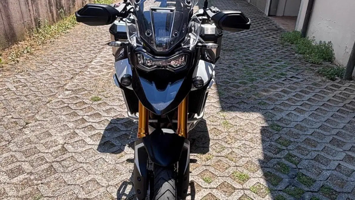 Triumph Tiger 900 Rally Pro (2024 - 26)  (5)