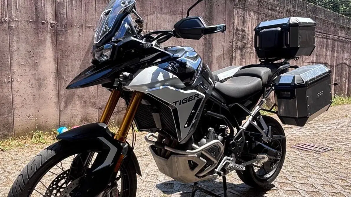 Triumph Tiger 900 Rally Pro (2024 - 26)  (6)