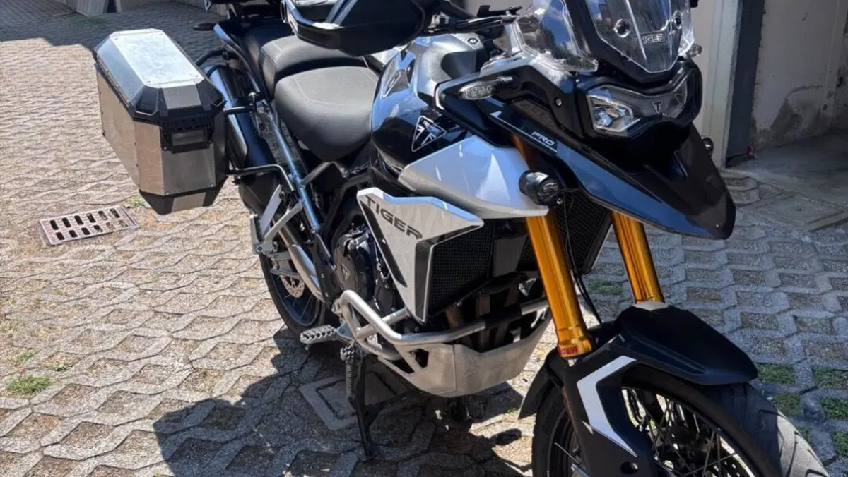 Triumph Tiger 900 Rally Pro (2024 - 26)  (7)