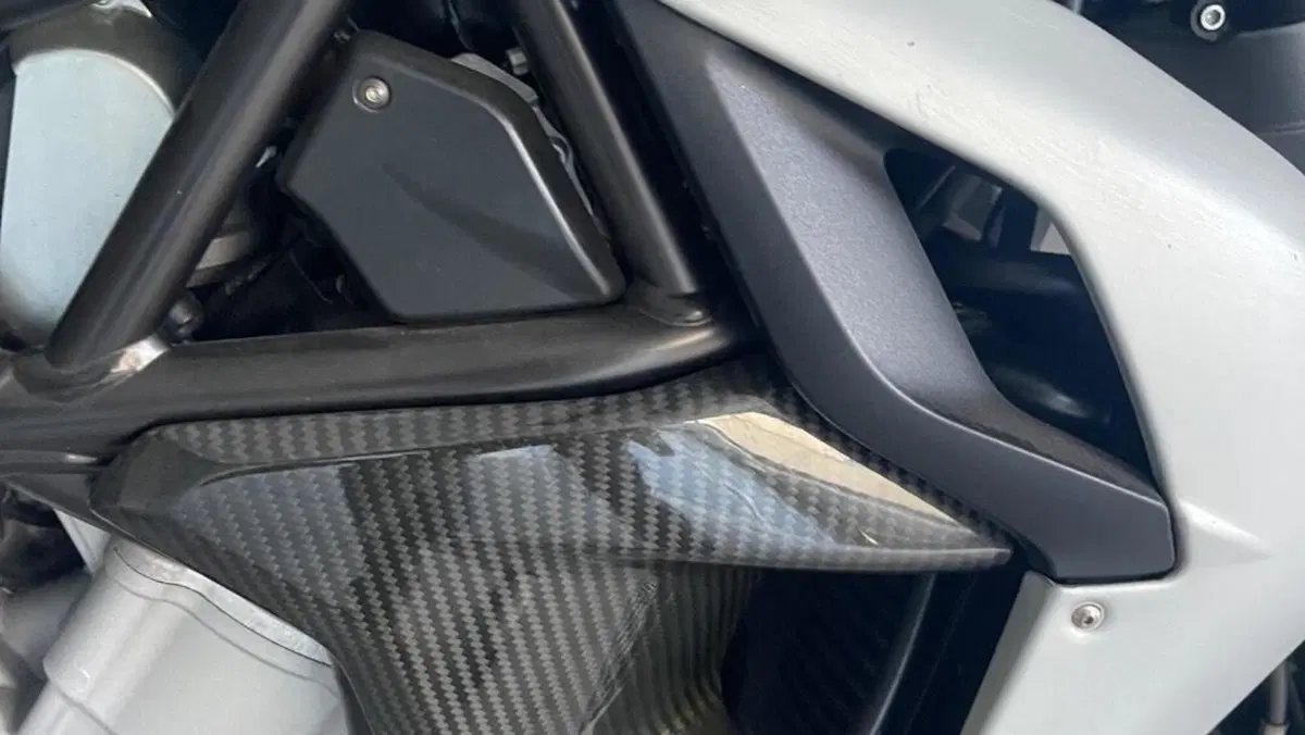 MV Agusta Brutale 800 (2012 - 15)  (6)