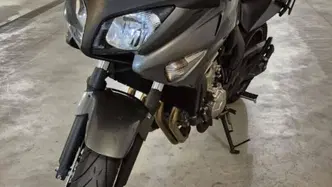 Honda CBF 600 S (2007 - 12) usata