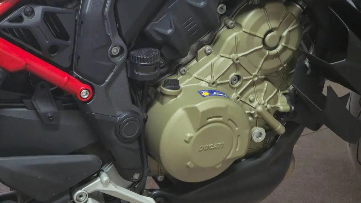 Ducati Multistrada V4 Pikes Peak (2021 - 24)  (5)