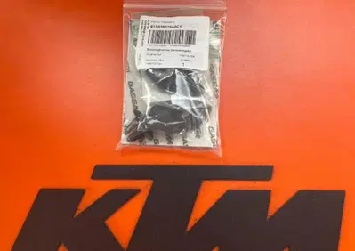 Kit Protezione Rimozione Penane Passeggero Ktm - Annuncio 10066020