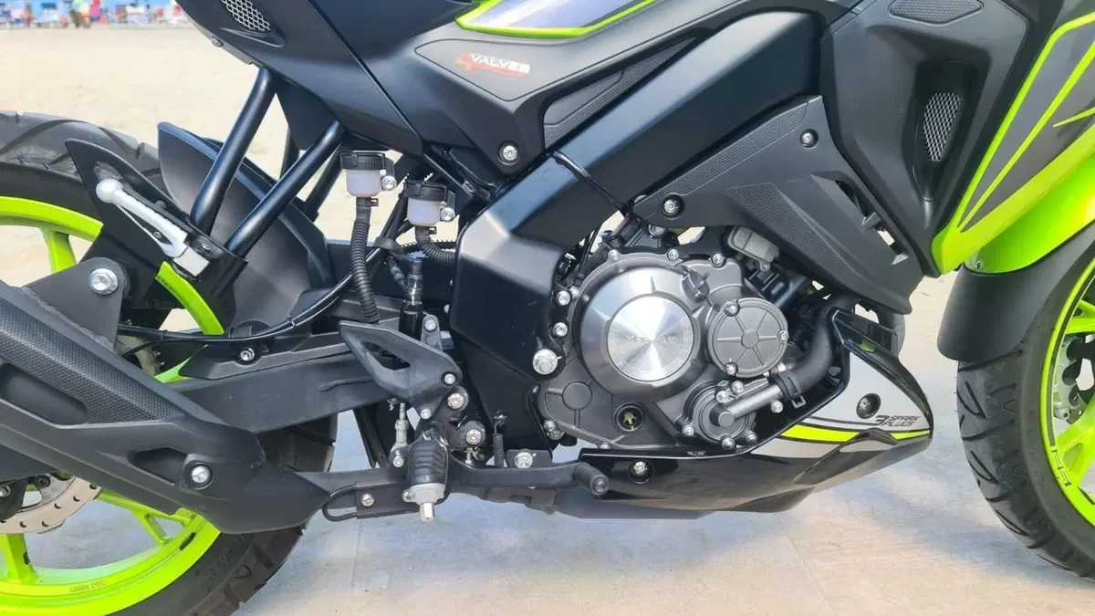 Keeway Motor RKF 125 (2021 - 24)  (6)