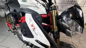 Benelli TNT 1130 (2004 - 08)  (6)