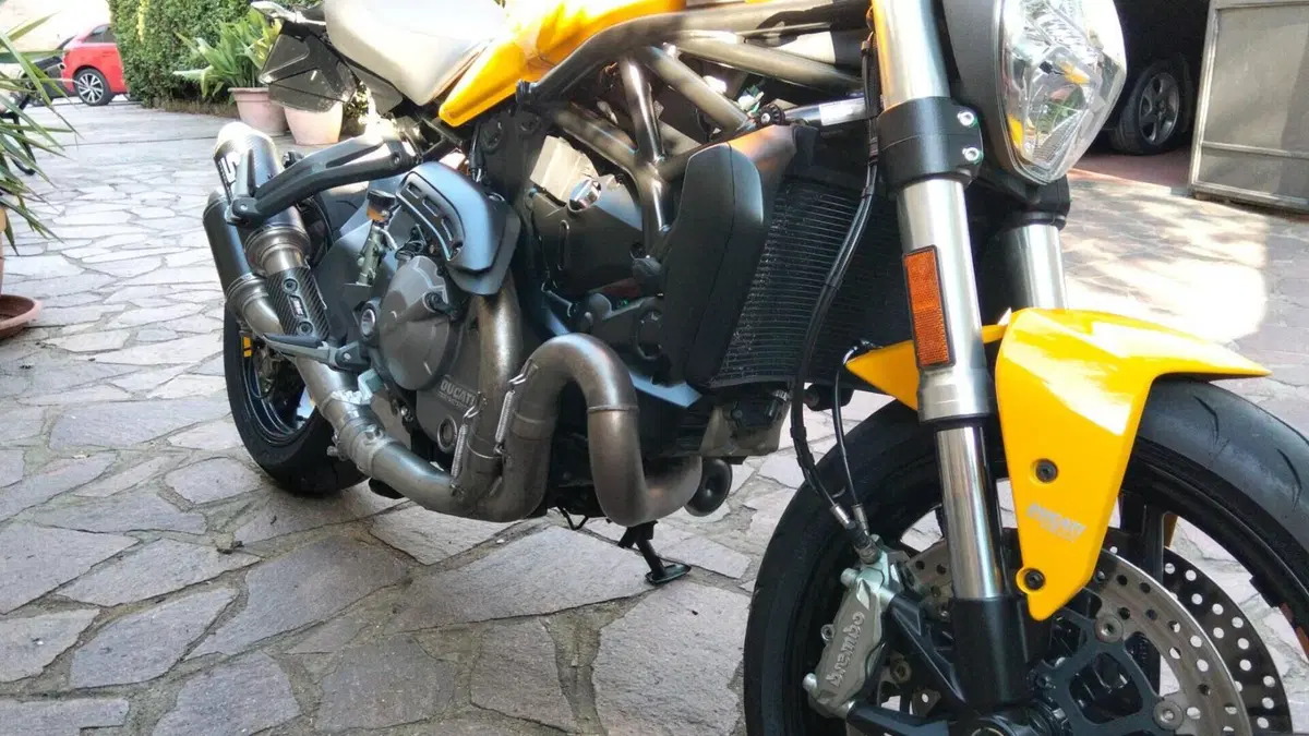 Ducati Monster 821 (2018 - 20)  (4)