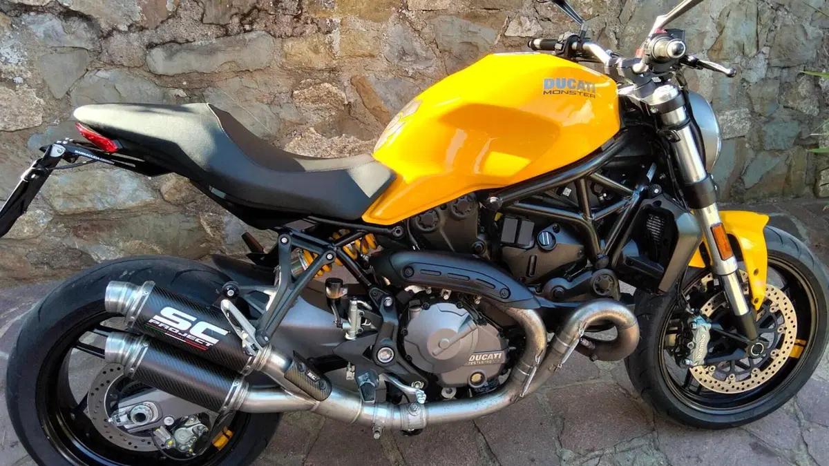 Ducati Monster 821 (2018 - 20)  (5)