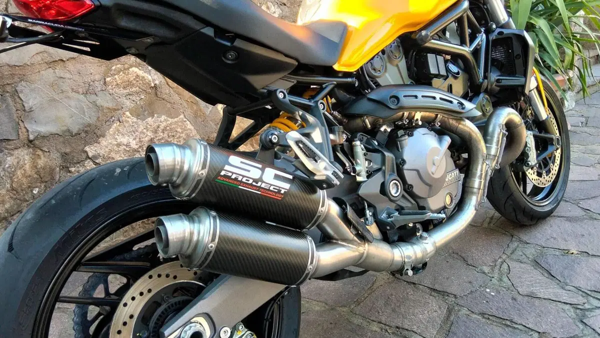 Ducati Monster 821 (2018 - 20)  (6)