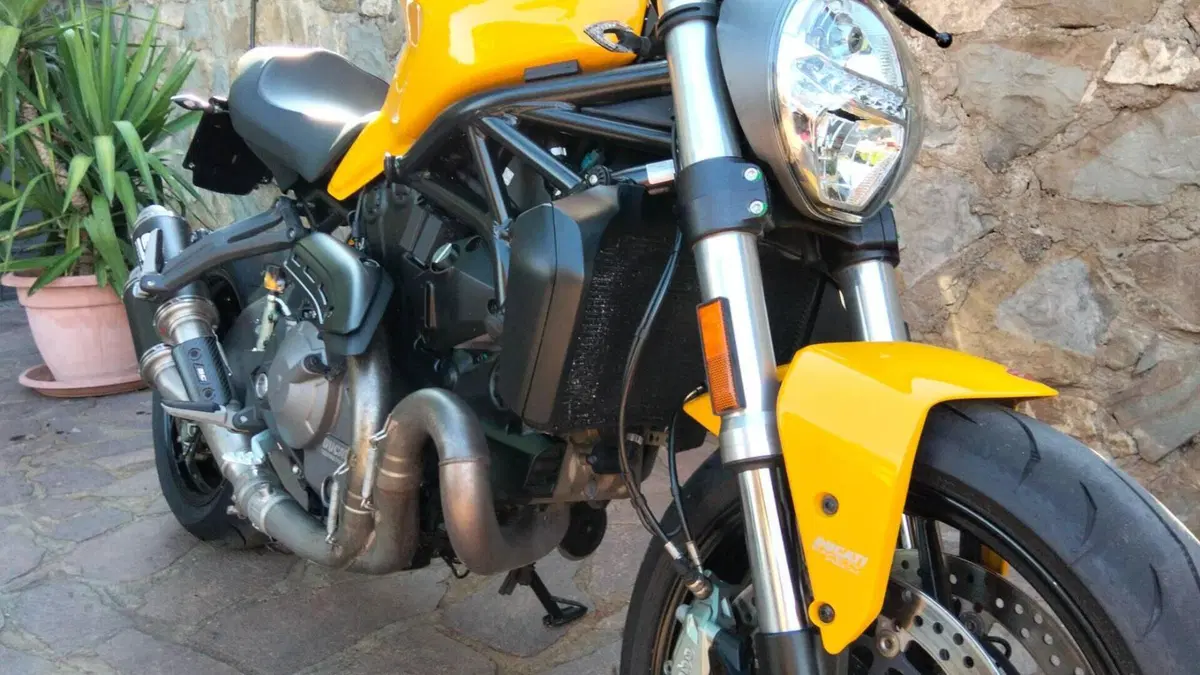 Ducati Monster 821 (2018 - 20)  (7)