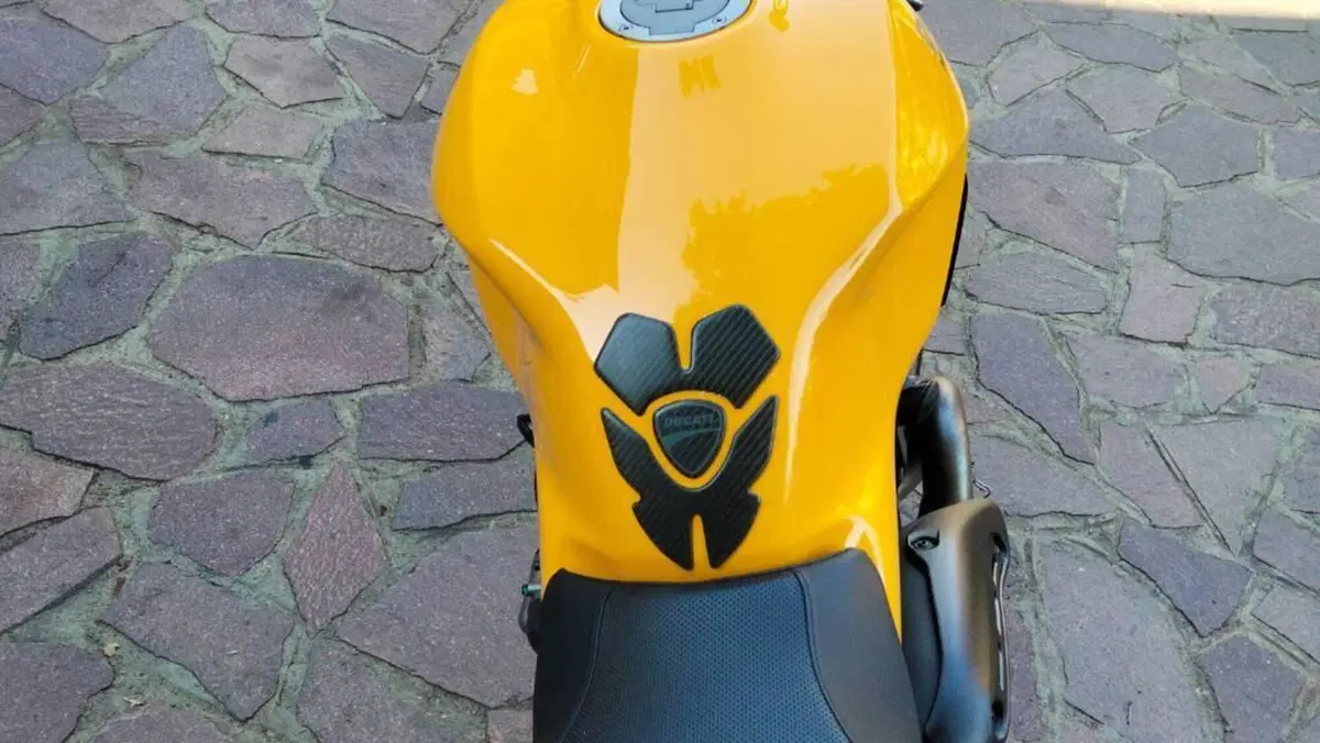 Ducati Monster 821 (2018 - 20)  (8)