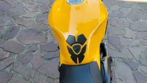 Ducati Monster 821 (2018 - 20)  (8)