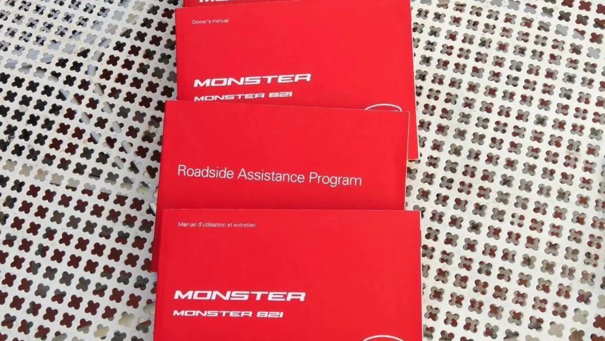 Ducati Monster 821 (2018 - 20)  (11)