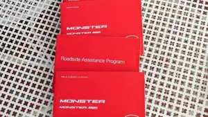 Ducati Monster 821 (2018 - 20)  (11)