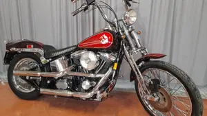 Harley-Davidson 1340 Springer (1990 - 98) - FXSTS  (2)