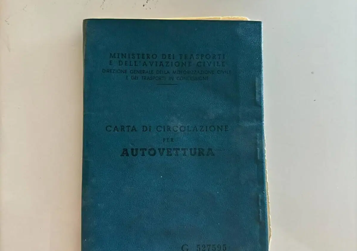 Fiat 500  (11)