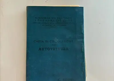Fiat 500  (11)