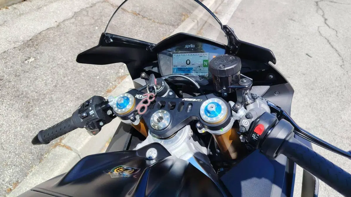 Aprilia RSV4 1100 Factory (2019 - 20)  (4)