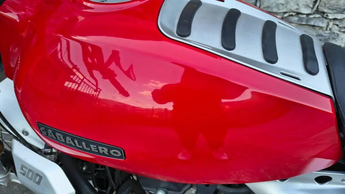 Fantic Motor Caballero 500 Scrambler 4T (2018 - 21)  (7)