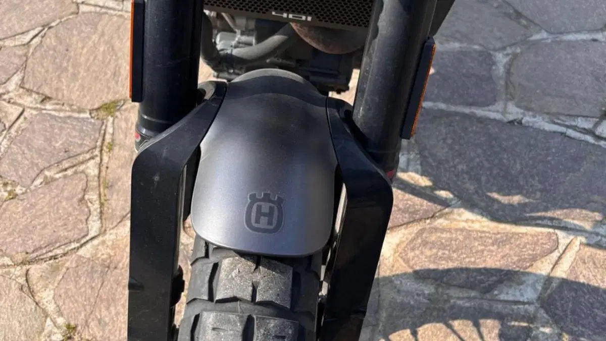 Husqvarna Svartpilen 401 (2018 - 19)  (5)