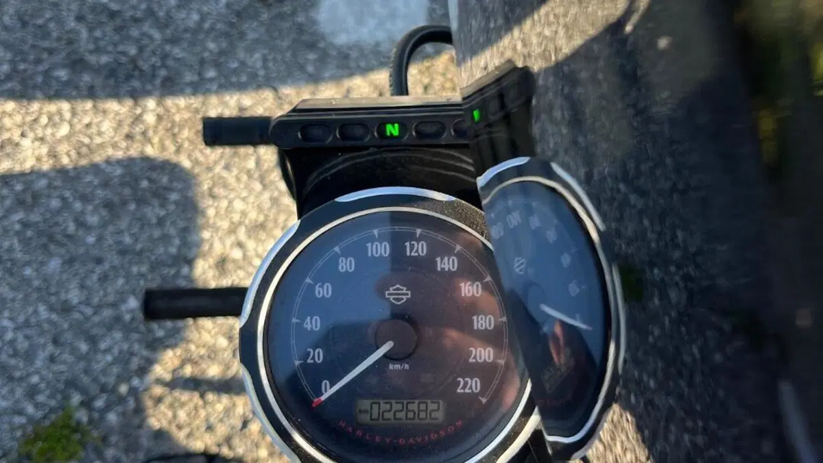 Harley-Davidson 1200 Forty-Eight (2016 - 20)  (7)