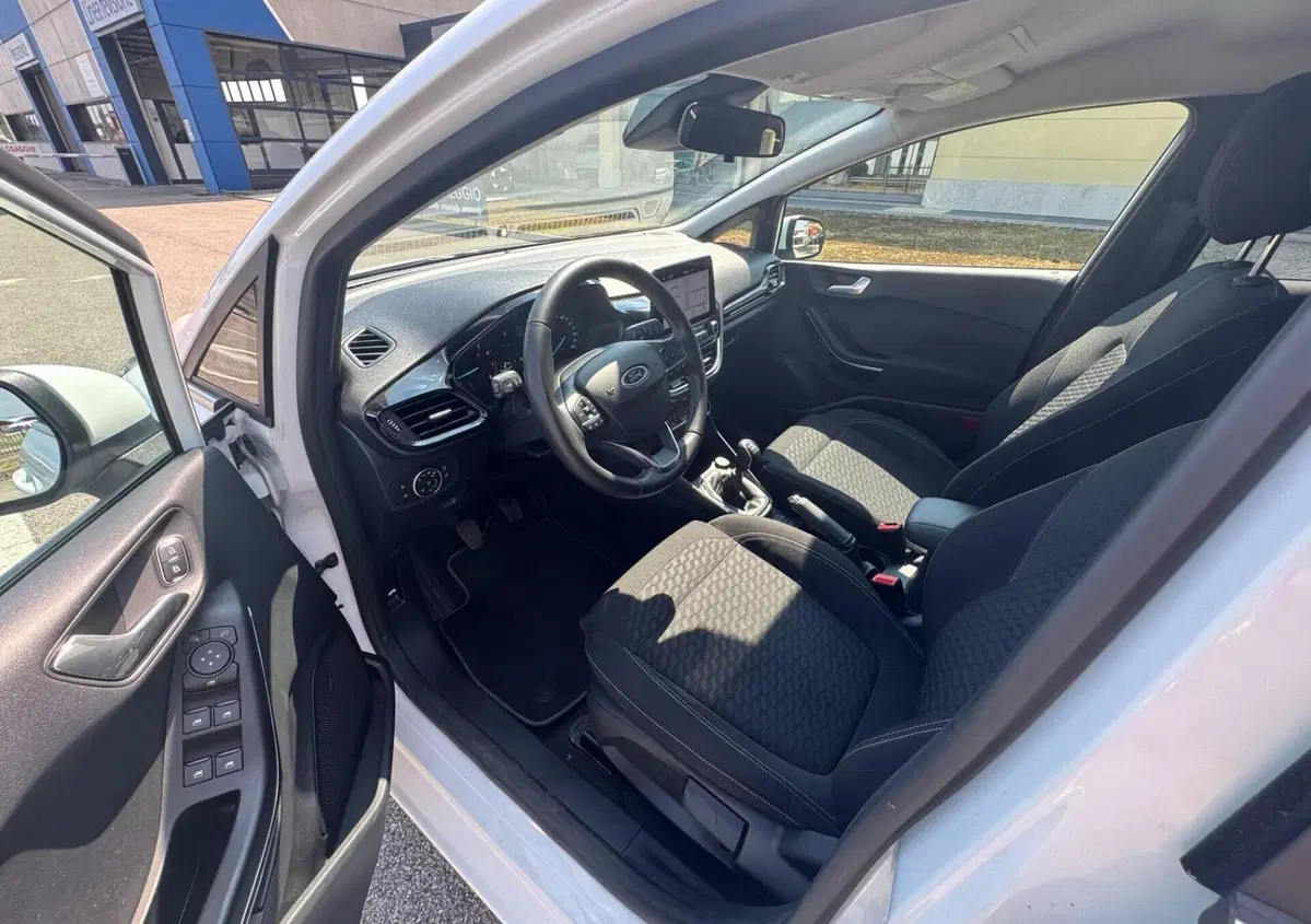 Ford Fiesta 1.0 Ecoboost Hybrid 125 CV 5 porte Titanium (9)