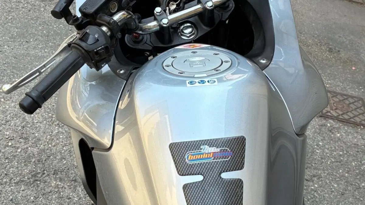 Honda CBF 1000 ST  (14)
