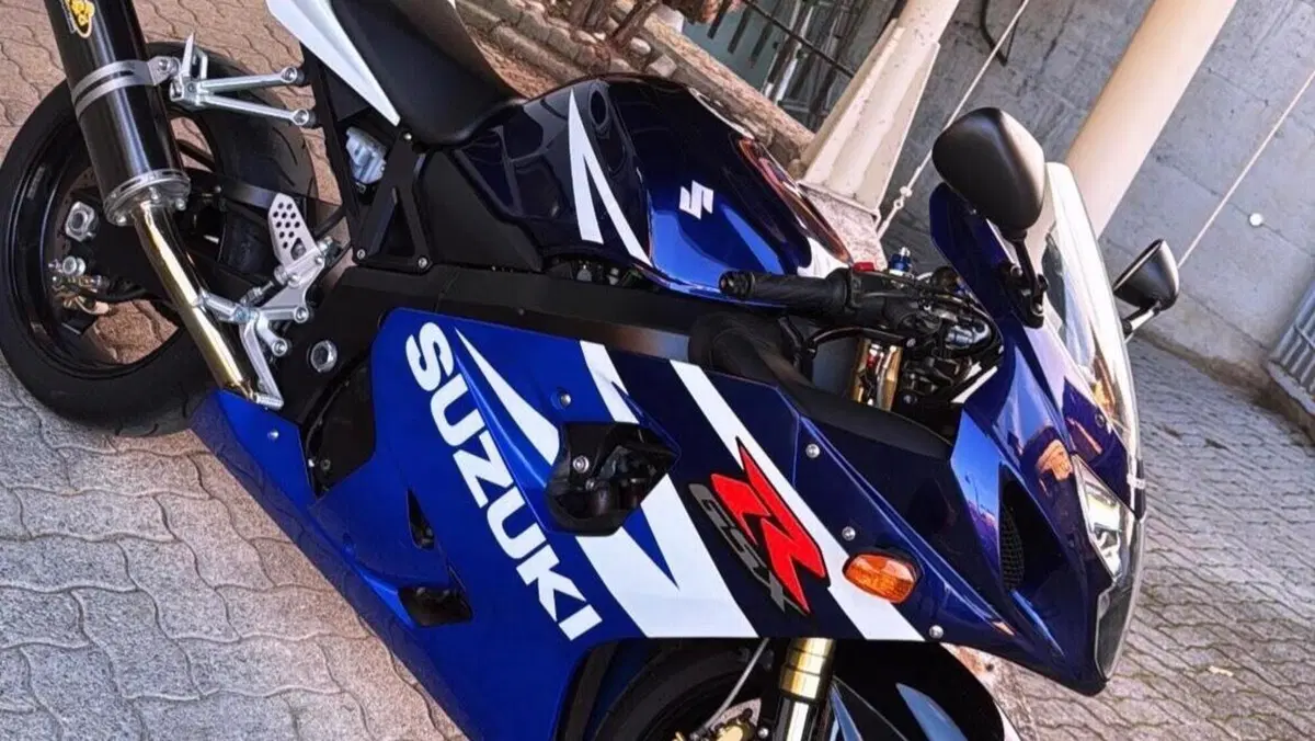 Suzuki GSX R 600 (2004 - 05)  (3)