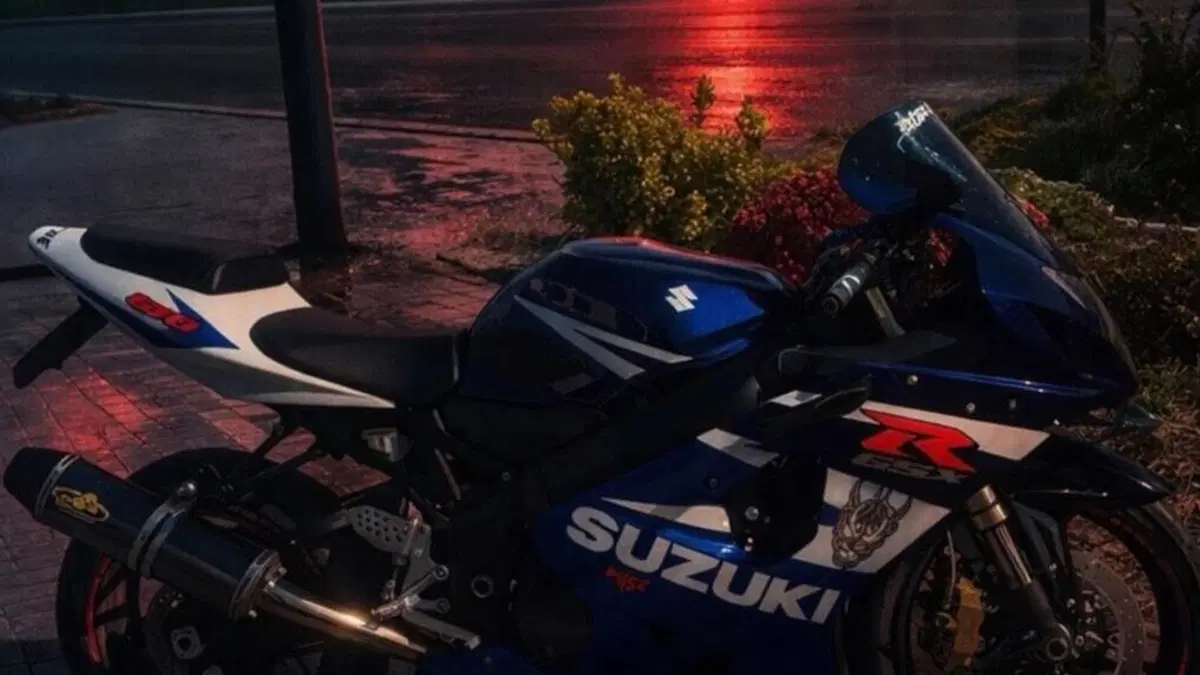 Suzuki GSX R 600 (2004 - 05)  (4)