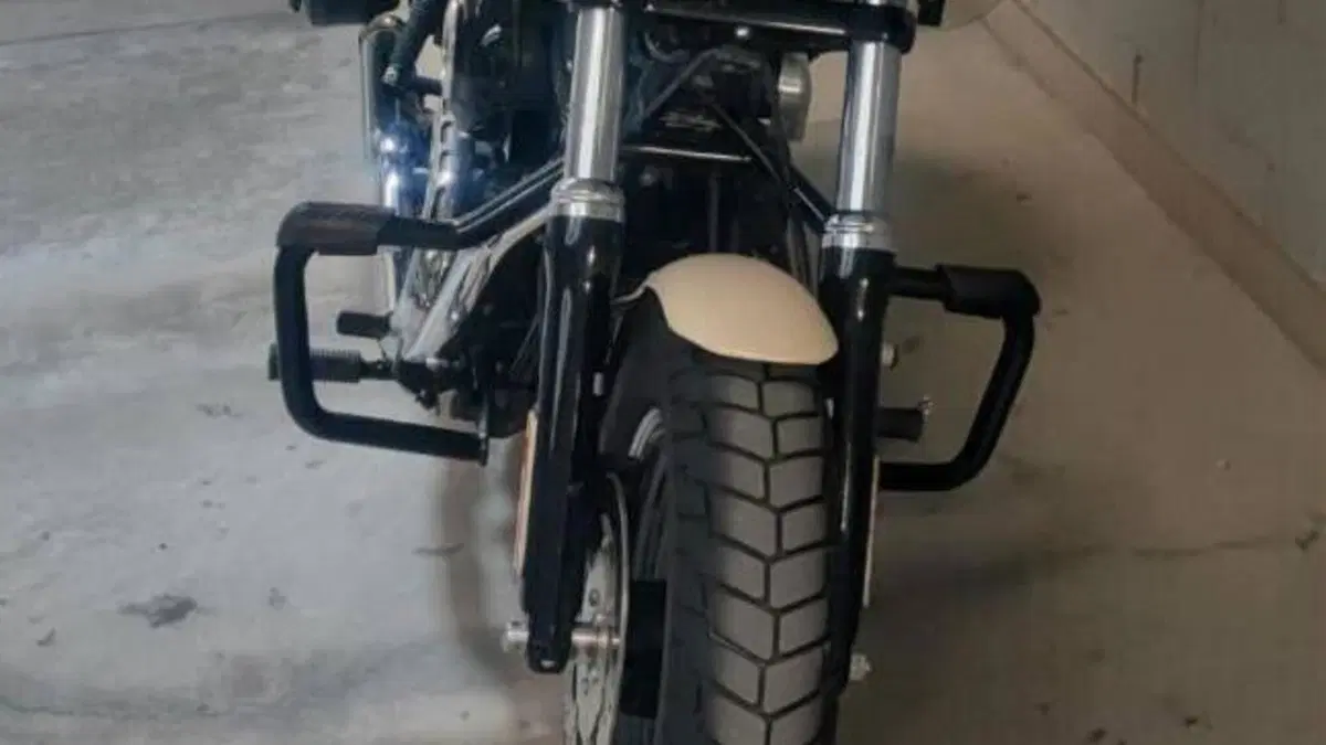 Harley-Davidson 1690 Fat Bob (2014 - 16) - FXDF  (3)